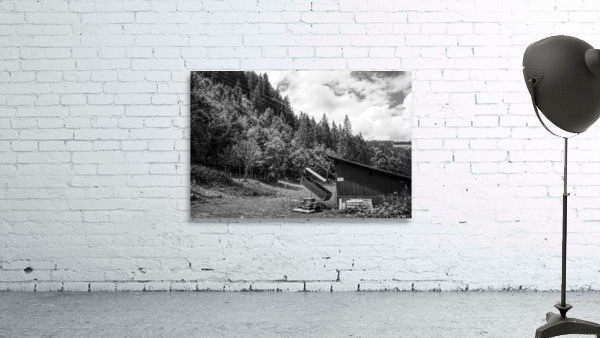 BW Serenity Found in the Alps of Switzerland 2 of 3   HC Stanek   Rare Limited Edition by 360 Studios