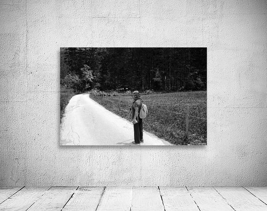 BW On the Trail in Switzerland   William Robert Stanek   Rare Limited Edition by 360 Studios