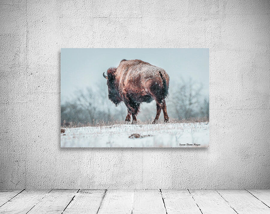 The Cold Walk Home Wall Preview