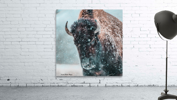Plowing Through the Snowstorm by Susan Diann Photography
