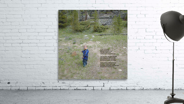 Among the Trees - square Wall Preview