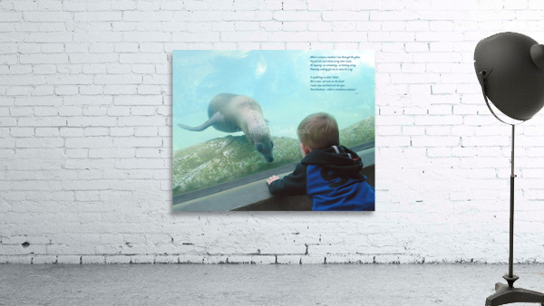 Child in the Glass Wall Preview