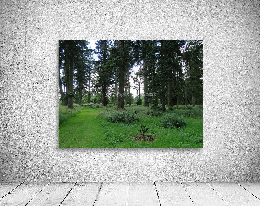 Glamis Castle Grounds Wall Preview