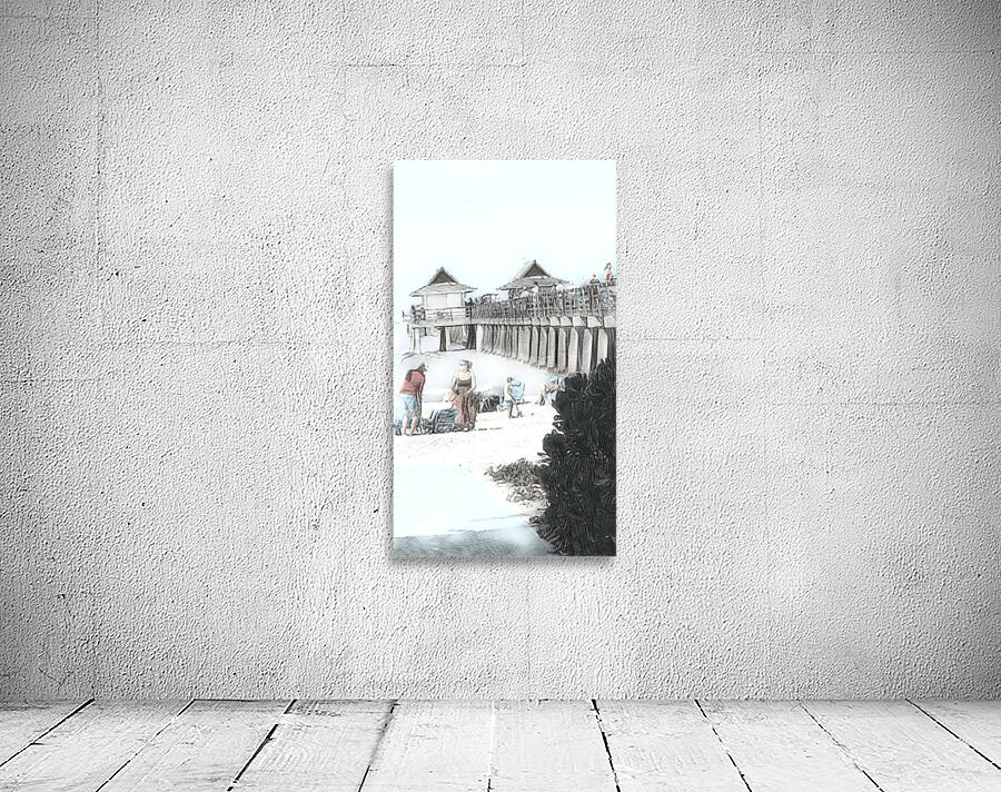 Naples Pier Black White Vision Wall Preview