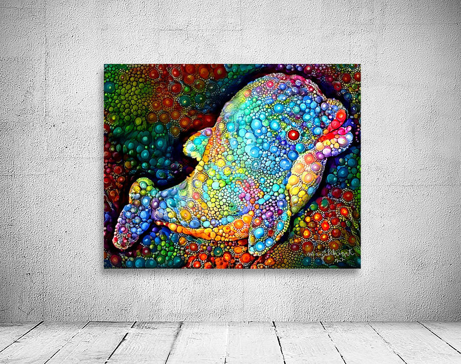 Bubbles The Baby Dolphin Wall Preview