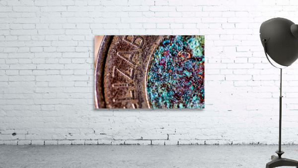 Toonie by CRB Images Photography