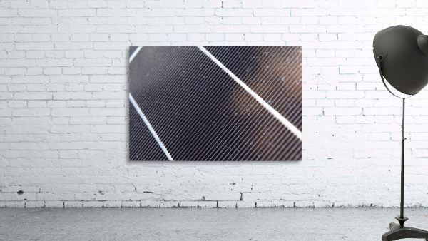 The Grid  by Jarrod Sammis
