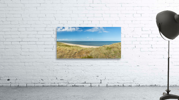 Ocean Panorama Wall Preview