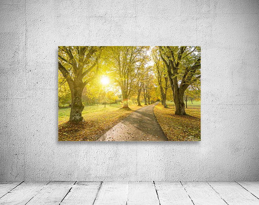 Autumn Road by caladoart