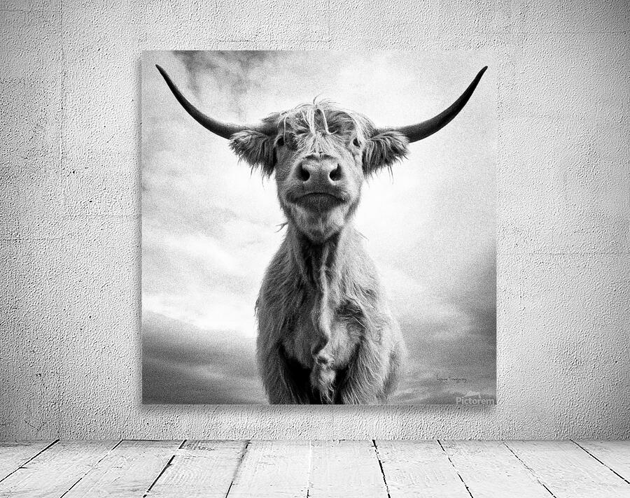 Ah la vache  |  Holy Cow by Louise Tanguay
