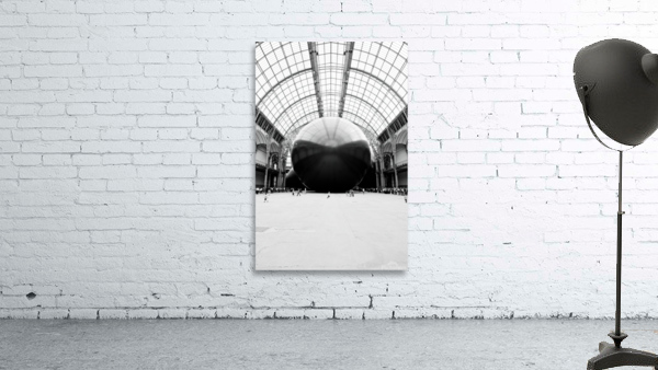 Paris   Leviathan by Anish Kapoor   Grand Palais Wall Preview