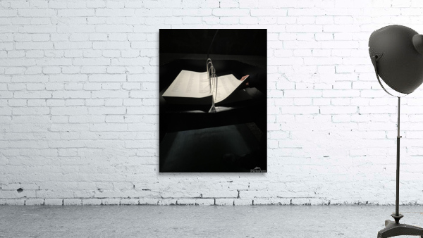 CAA9AAAA 71F6 4572 B0B1 AAD53C066C72 Wall Preview