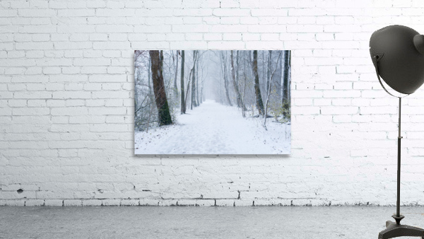 Path in a forest under the snow in winter Wall Preview