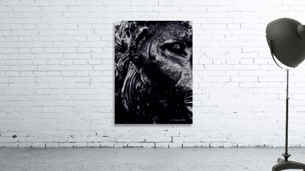 The Lion by Adam Caudill