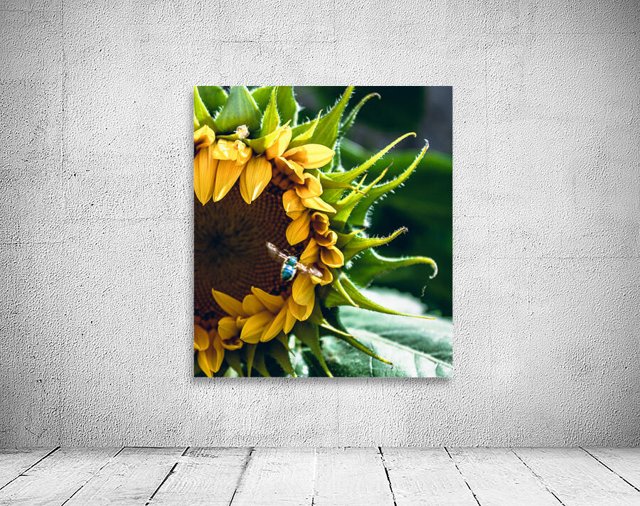 Blue Bee 2 Wall Preview