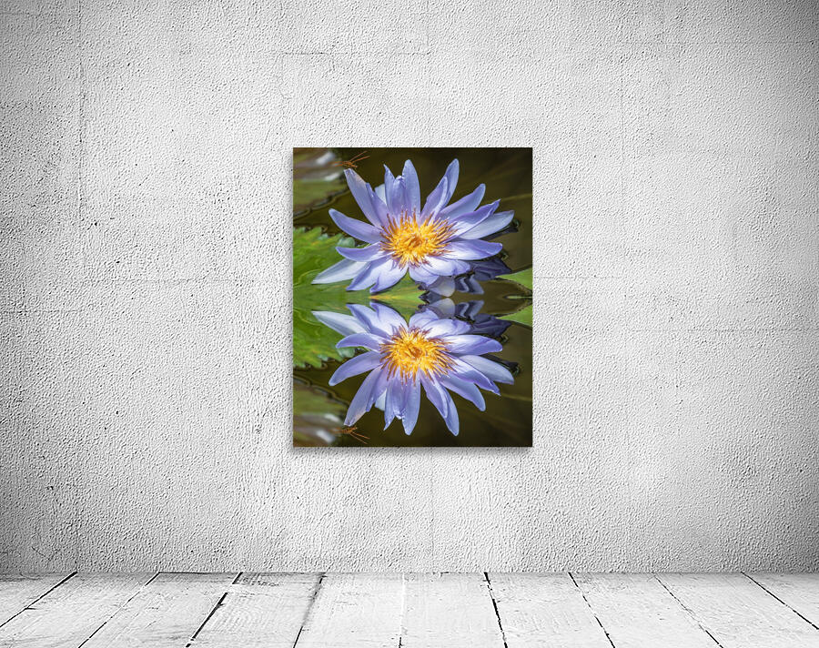 Water Lilies Wall Preview