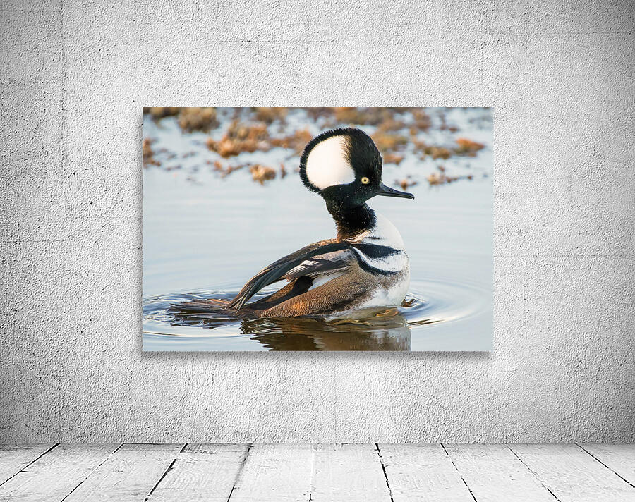 MERRIT ISLAND  Wall Preview