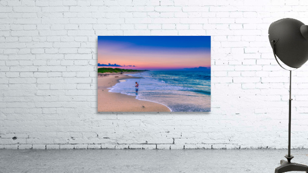 SEBASTIAN INLET FISHING Wall Preview