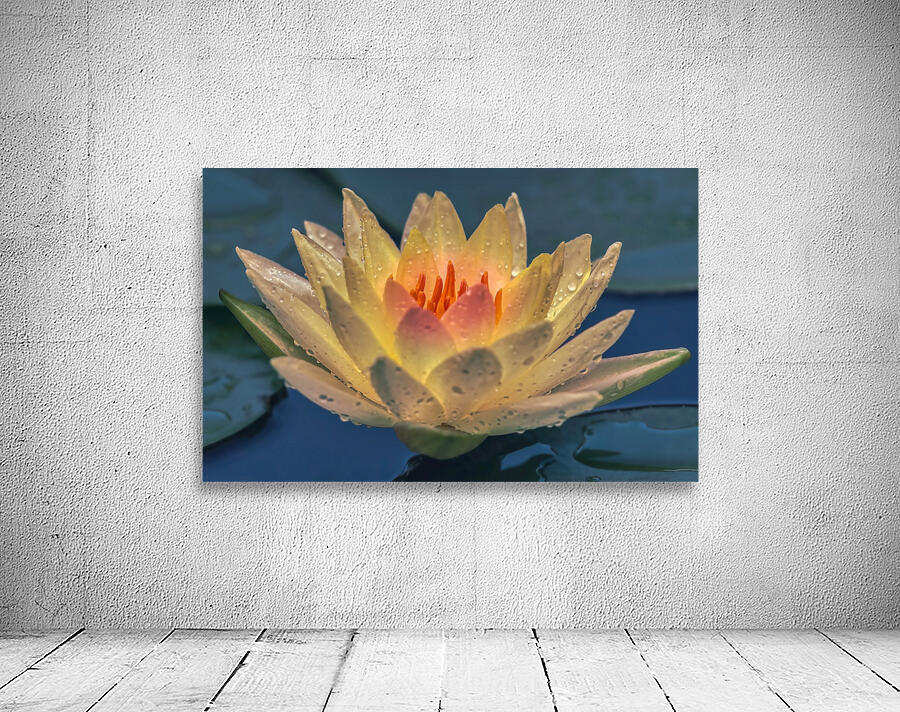 Water Lilies Wall Preview