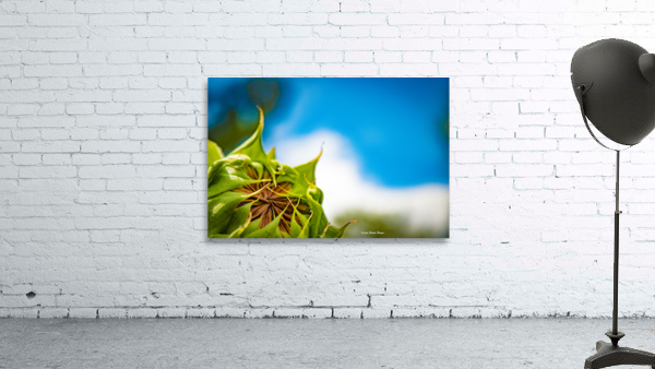 New Beginnings Wall Preview