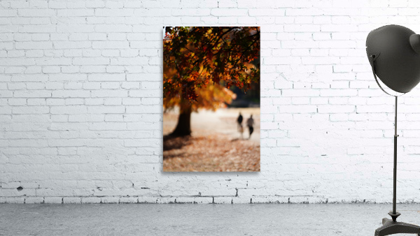 CENTRAL PARK FADE view 2