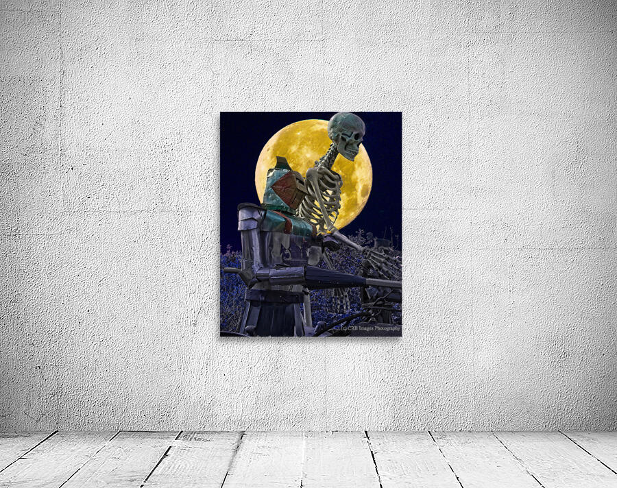 Attack By Moonlight by CRB Images Photography