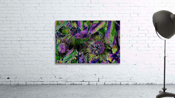 PASSION FLOWERS  Wall Preview