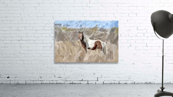 Assateague Pony by Sarah Butcher