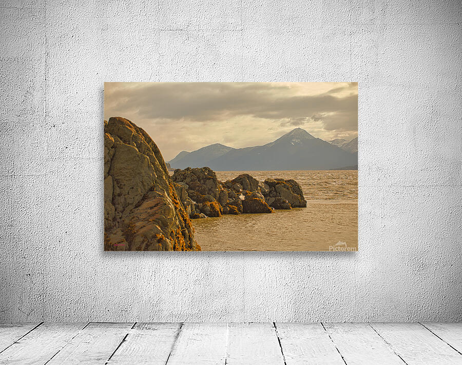 Turnagin Arm Wall Preview