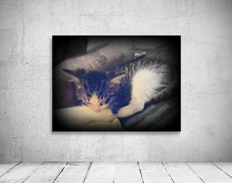 sleepy cortez Wall Preview