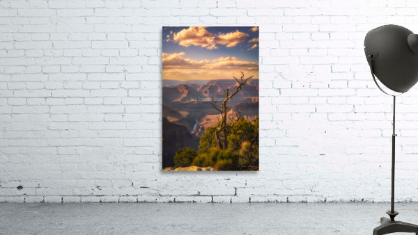 At the Rim by Imma Barrera