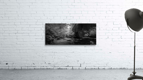 Long Shoals in Infrared Wall Preview