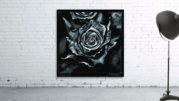 Black Rose Wall Preview