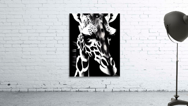 6E84BD6A F101 4CAF B397 B3657D53C446 Wall Preview