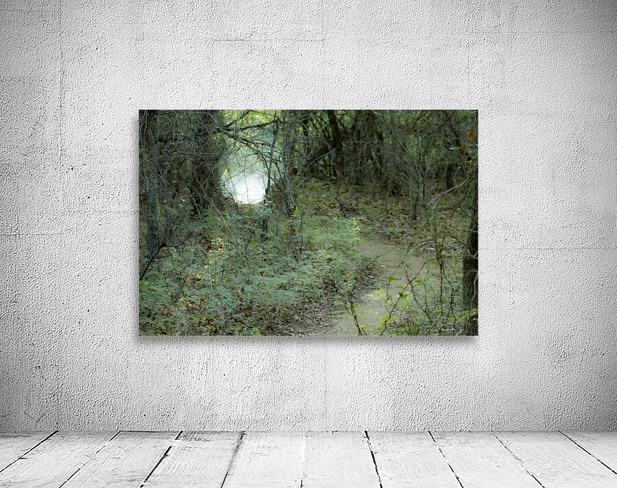 Pathway Series- 1 Charons Garden Wall Preview