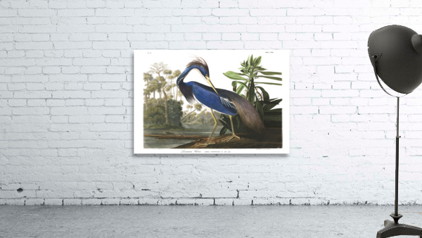 24x36 lou heron Wall Preview