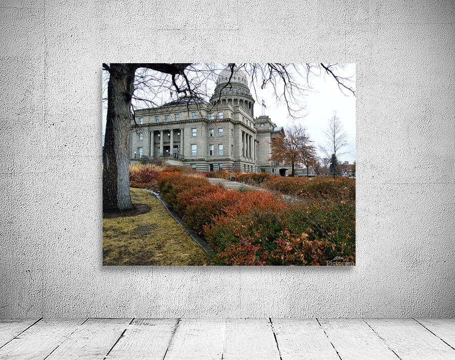 Winter Idaho State Capitol Building Wall Preview