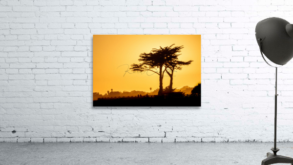 Sunset Tree Silhouette Wall Preview