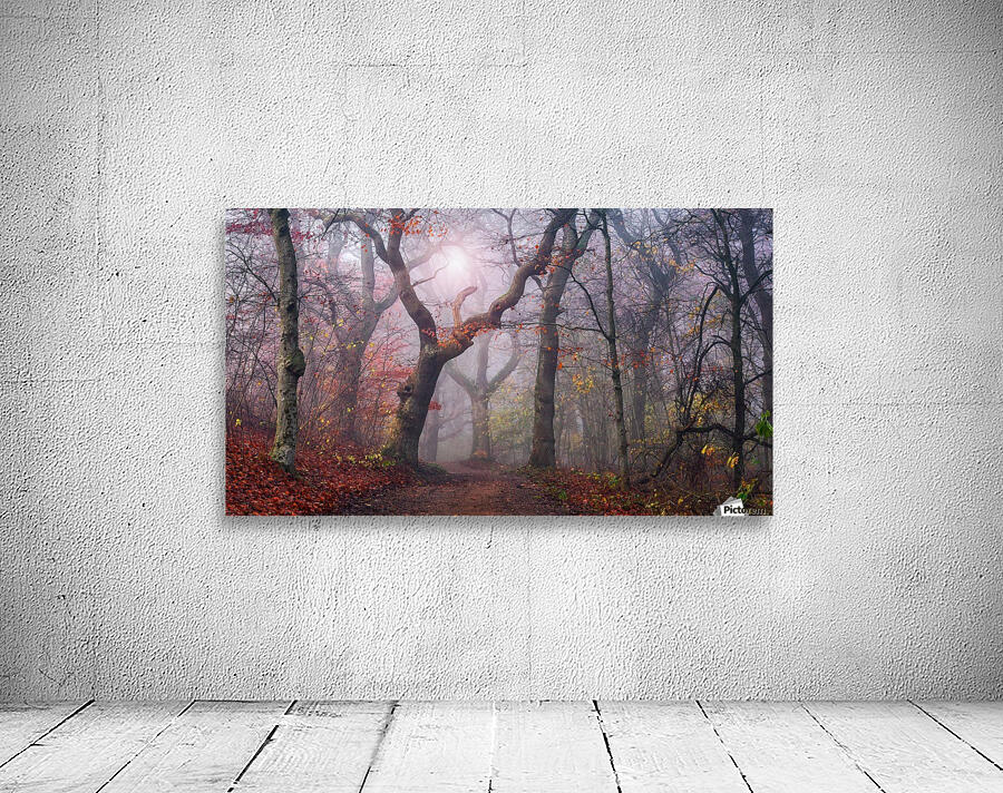 Walking the old path. by 1x