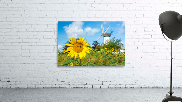 Windmill Garden Wall Preview