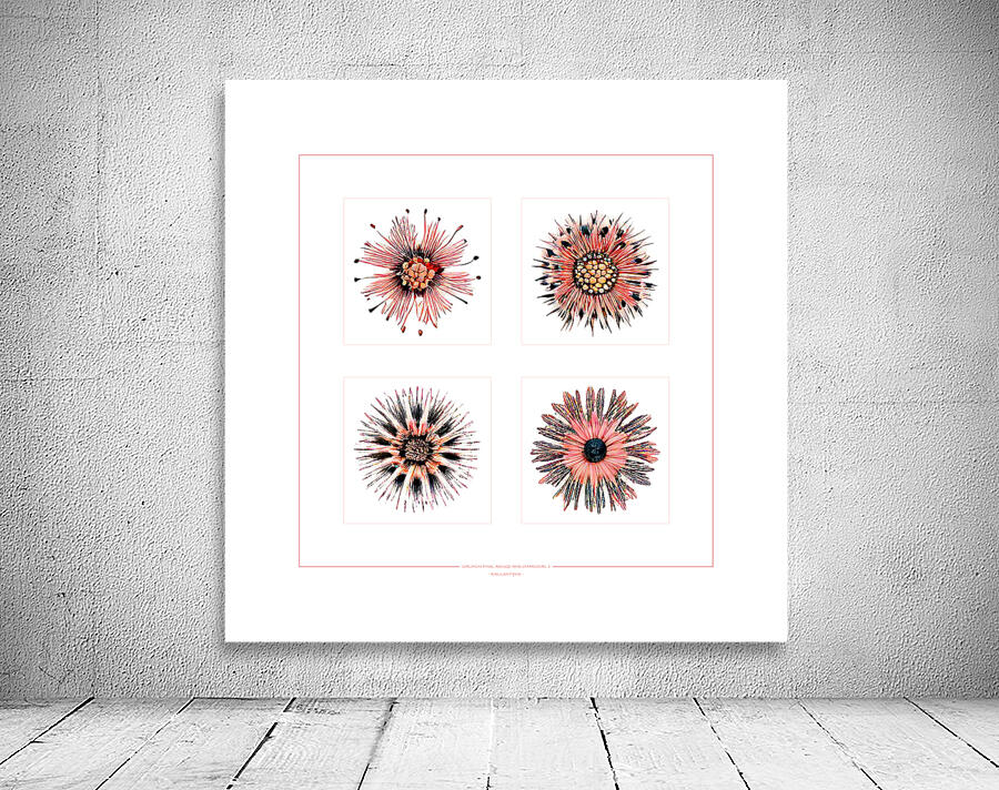 Starburst 2x2   Salmon Rouge and Charcoal 1 Wall Preview