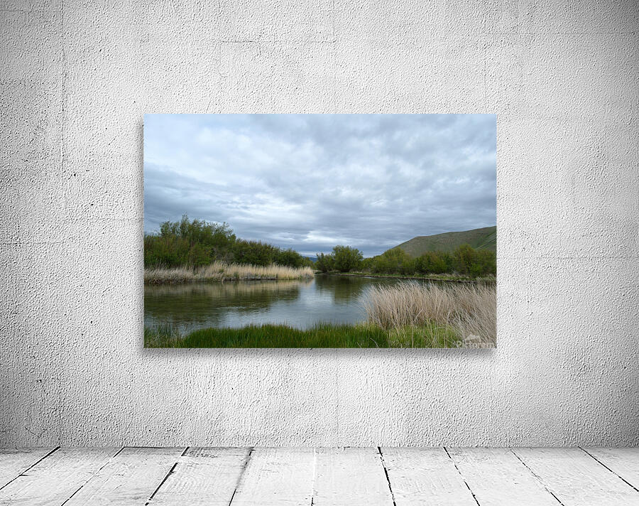 Silver Creek Preserve by Michelle K Wood