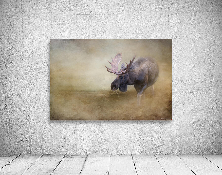 Full_Rack Wall Preview