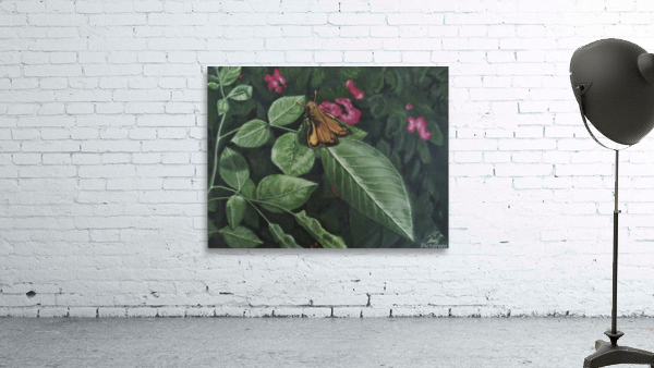 zabulon skipper by Jodi DiLiberto 