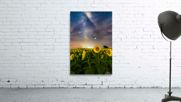 Sunflower Milky Way Stars Wall Preview