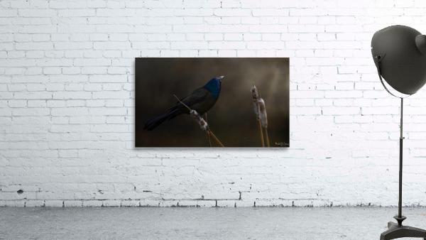 Look_Away Wall Preview