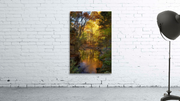 02 Cotton Hollow Autumn Glow Wall Preview