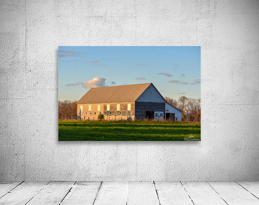 20 Spring Day on the Farm  Wall Preview