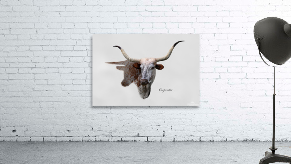 Longhorn Cow With Shadow Wall Preview