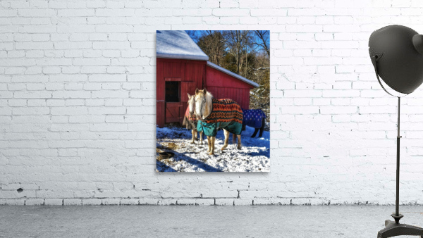 22 Horses in Winter Coats Wall Preview